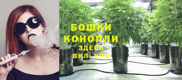 ГАЛЛЮЦИНОГЕННЫЕ ГРИБЫ Медвежьегорск